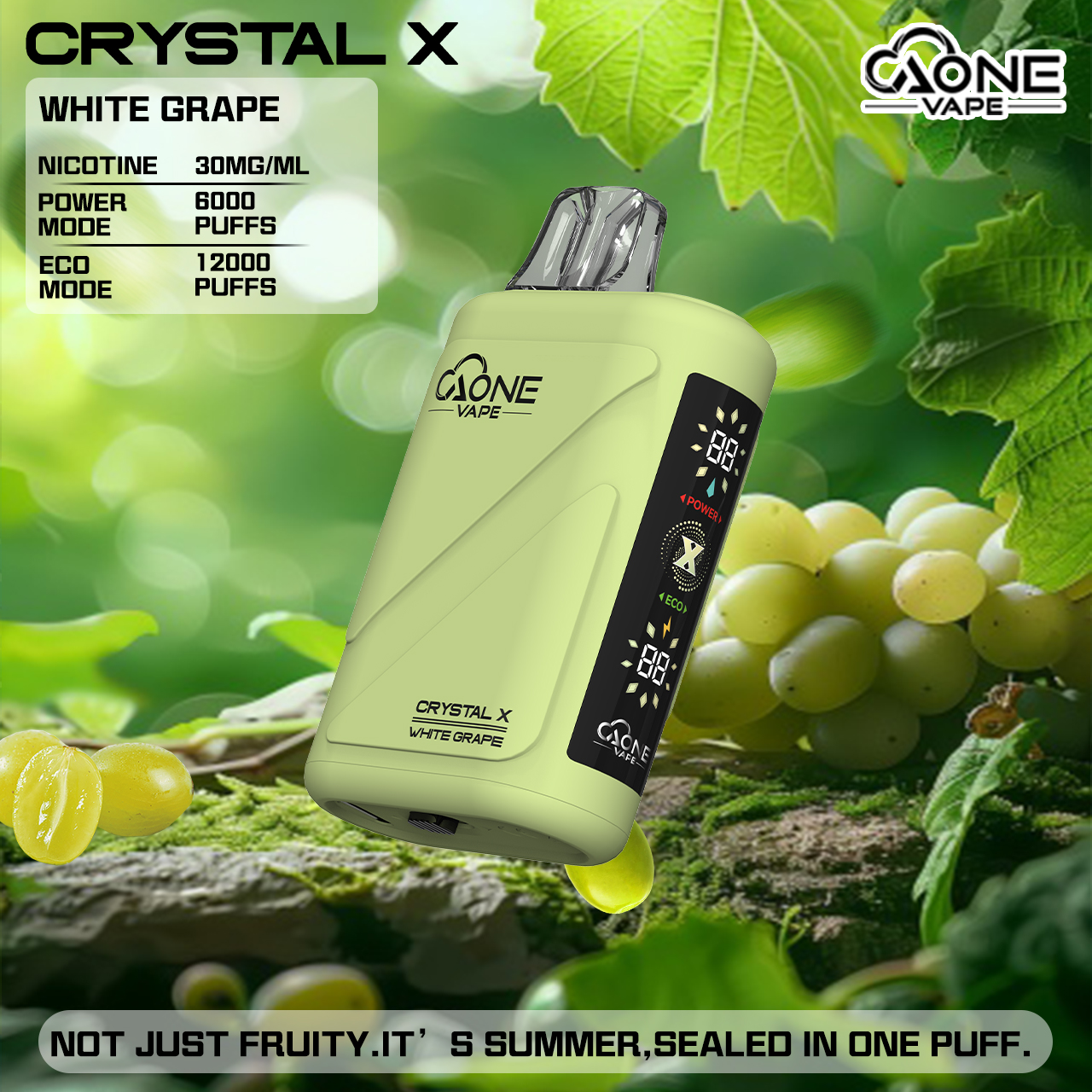 AONE Crystal X 水晶二代 12000口:圖片 11