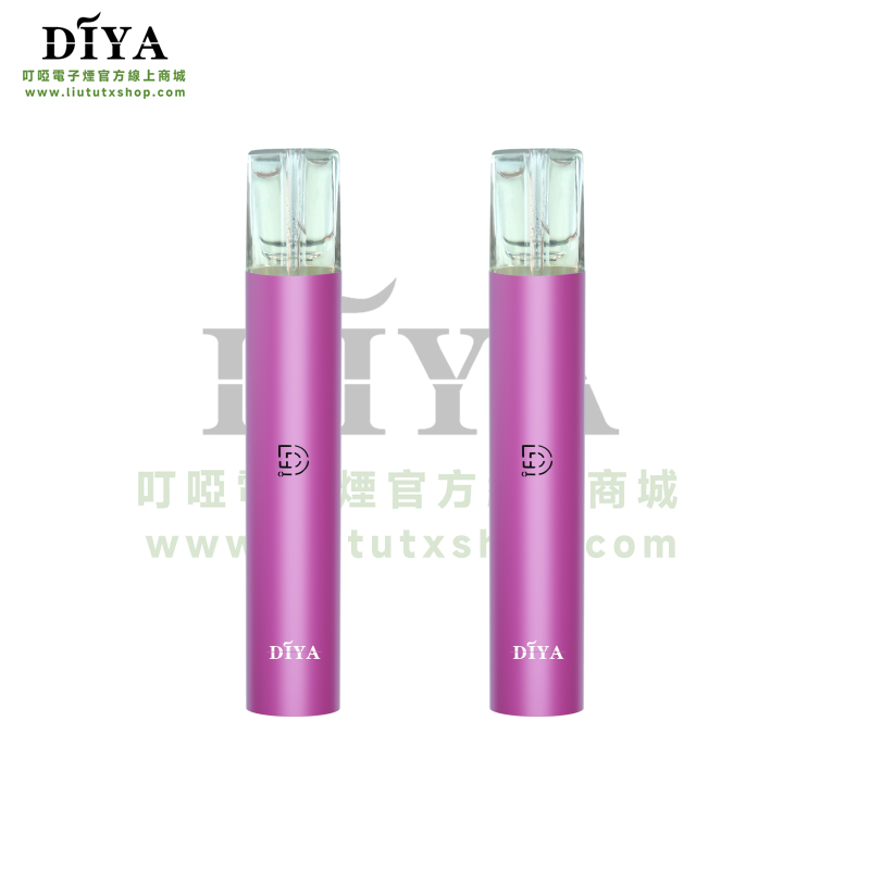 DIYA 叮啞一代主機:圖片 5