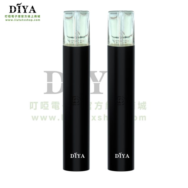 DIYA 叮啞一代主機:圖片 6